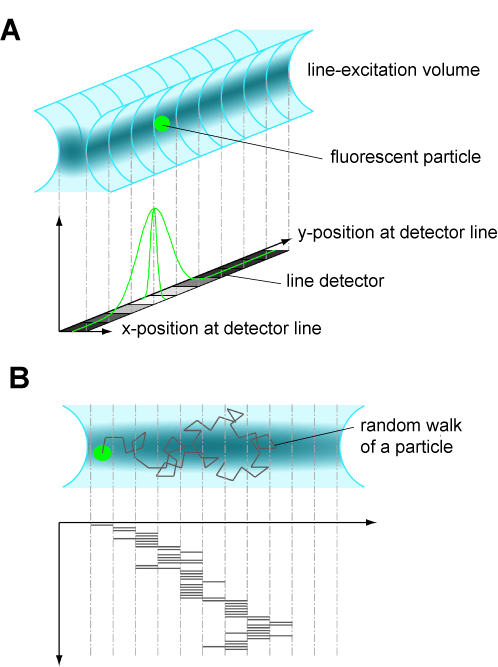 Setup of the STFM